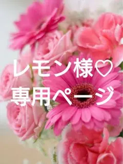 レモン様 リクエスト 11点 まとめ商品♡