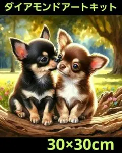 30×30cmチワワ ダイヤモンドアートキット