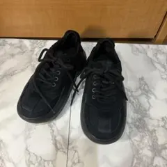 Item thumbnail for item 0b1484fe-7595-4639-a6e5-455f0546403d