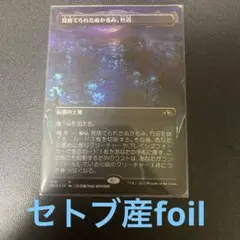 見捨てられたぬかるみ、竹沼　セトブ産foil MTG
