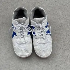 Item thumbnail for item ce3b7fae-743a-430d-8afa-51d09995fc45