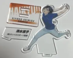 ハイキュー‼︎  10thクロニクル　清水潔子　アクリルフィギュア