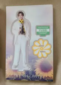 FANTASTICS アクスタ フォトカ 八木勇征