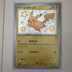 BW-P __のピカチュウ（ジャンボ）_おたんじょうび ジャンボカード PRO