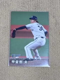 【まとめ売り可能】プロ野球チップス　甲斐野央