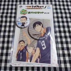 ハイキュー　一番くじ　缶バッジセット　影山飛雄　田中龍之介