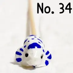 No.34　ベタ棒　淡水魚　熱帯魚