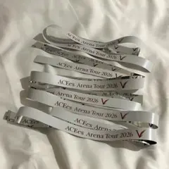 ACEes ARENA TOUR 2026 V 銀テープ フル4本セットのサムネイル