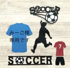 みーご様専用です