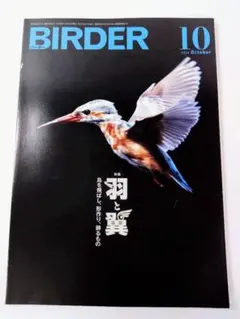 2026年最新】birder 2024の人気アイテム - メルカリ
