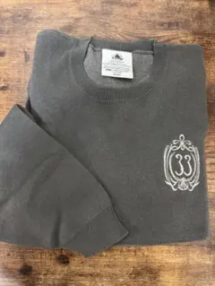 ディズニー Club33限定 スウェット風ニット トップス 2L