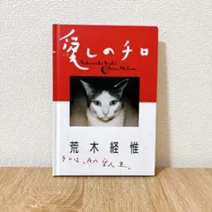 愛しのチロ 荒木経惟