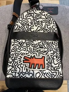 COACH×キースヘリング コラボリュック - メルカリ