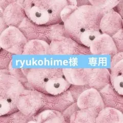 ryukohime様　専用