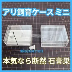 Item thumbnail for item cd0a991b-d521-40fd-9cd3-f25377daccc0