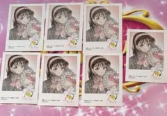 多聞くん今どっち!? アニメイトフェア 特典 木下うたげ ミニフォトカード　７枚