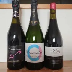 Lambrusco Remember 1865 ワイン3本セットのサムネイル