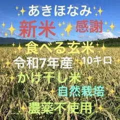 現役農大生が作る！はるみ玄米10kg｜農家直送・精米可 - メルカリ