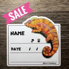 Item thumbnail for item 3e9fdb3f-331f-47d2-aa70-57cf744b4fe7