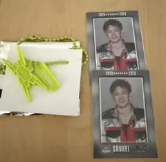 Item thumbnail for item 2a661a9a-70ff-480b-9478-e278cb981235