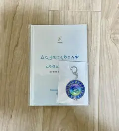 ポケモンレジェンズZA 特典アートブック、キーホルダー