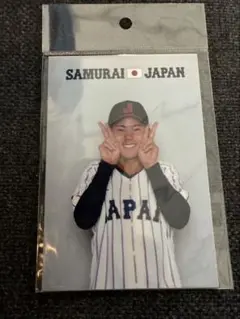 侍ジャパン ブロマイド 金丸夢斗