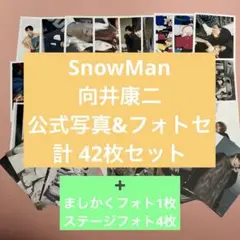 SnowMan 向井康二 グッズ まとめ売り（ペンライト含む‼️）