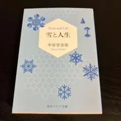 雪と人生 t20