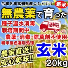 ②【農薬不使用・色選処理済】R８年産 高知産コシヒカリ【玄米２０kg】農家直送 ③【農薬不使用・色選処理済】R8年産 高知産コシヒカリ【玄米20kg