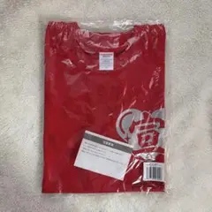 坂井仁香 超 宣伝部員のための定番Tシャツ ラメver. Lサイズ とき宣