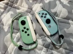 Nintendo Switch Joy-Con あつまれどうぶつの森 特別色