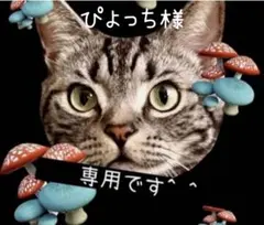 ぴよっち様 リクエスト 2点 まとめ商品