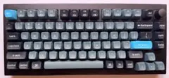 専用ケース付】Keychron Q11 分割型キーボード 赤軸 US配列 - メルカリ