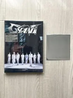 【新品】GIANT (初回生産限定盤B) 限定ブロマイド付-Stray Kids