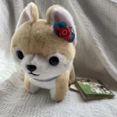 むちむチワワ とレジャー ぬいぐるみ ちくわ - メルカリ