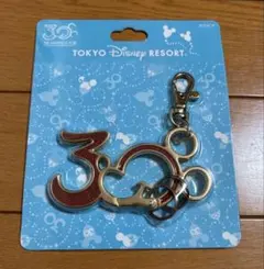 東京ディズニーリゾート 30周年 キーホルダー