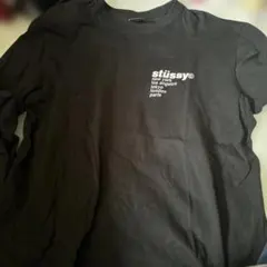 stüssy ストロベリーグラフィック Tシャツ ブラック