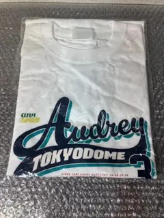 未使用 オードリー 東京ドームTシャツ ANN Lサイズ M0802f4のサムネイル