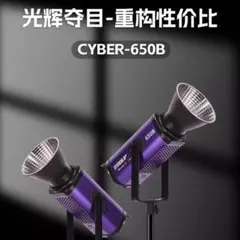 Item thumbnail for item cf5fc3ce-f79c-4d53-8700-d0cf40cb3498