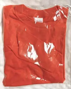 Printstar 長袖Tシャツ オレンジ