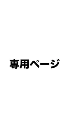 専用ページ