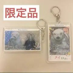 鳥羽水族館 ラッコ メイ キラ お誕生日 アクリルキーホルダー ２個セット