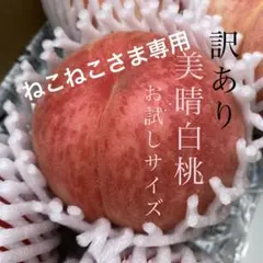 ねこねこさま専用♡お試し♡美晴白桃♡山形県産もも♡硬めの桃です♡みはる