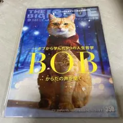 ビッグイシュー　VOＬ349 ボブ