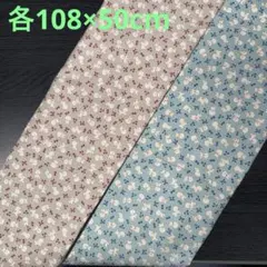 【KOKKA】ビジョンフリーゼ柄生地　シーチング　2点　《各108×50cm》