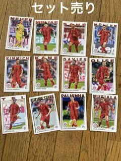 Item thumbnail for item b14c8422-328b-43e0-8456-dac1fa666614