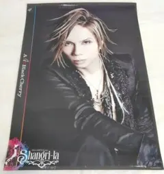 2026年最新】acid black cherry yasuの人気アイテム - メルカリ