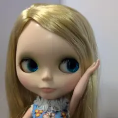 2026年最新】ネオブライス アウトフィットの人気アイテム - メルカリ