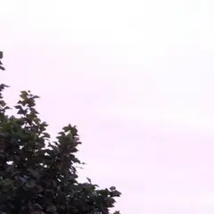 専用