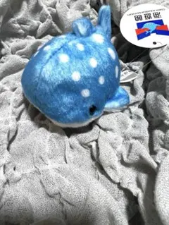 海遊館　おてだま　ジンベエザメのサムネイル